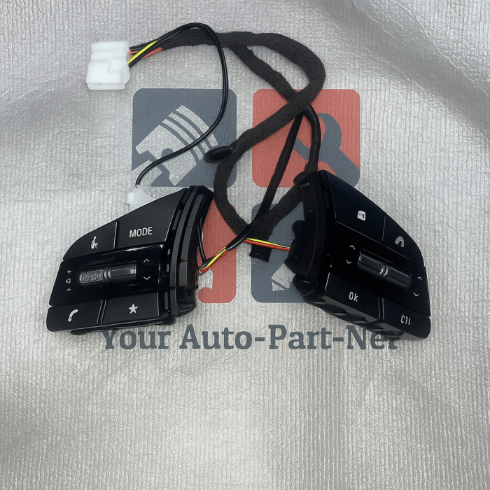 Kia Cruise Control Switch