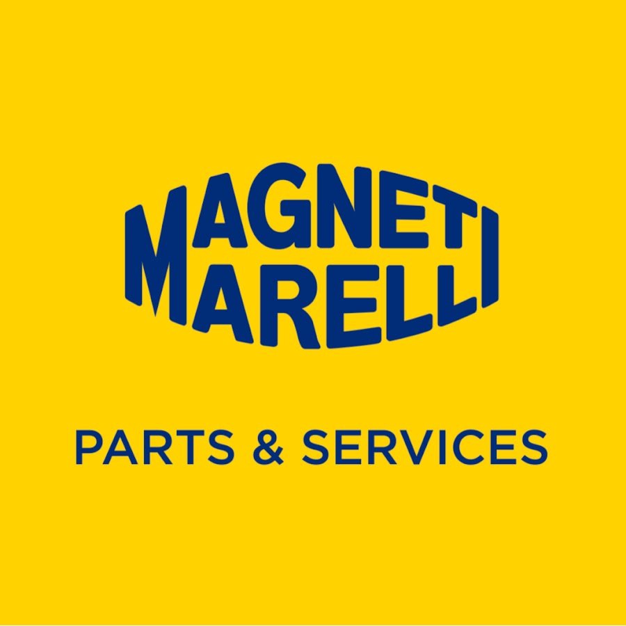 magnet msrelli